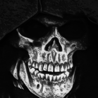 Voice Icon