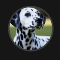 Voice Icon