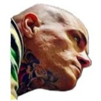 Voice Icon