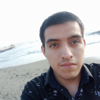 Voice Icon