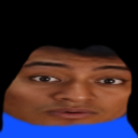 Voice Icon