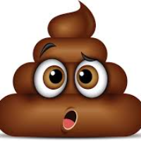 Voice Icon