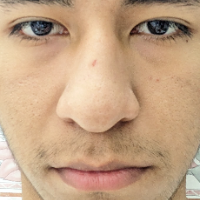 Voice Icon