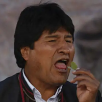 Voice Icon
