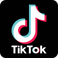 Voice Icon