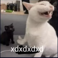 Voice Icon
