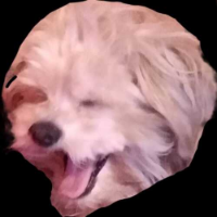 Voice Icon