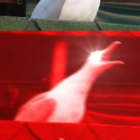 Voice Icon