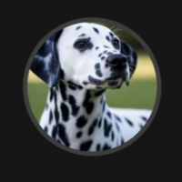 Voice Icon