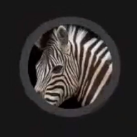 Voice Icon