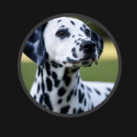 Voice Icon