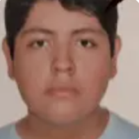Voice Icon