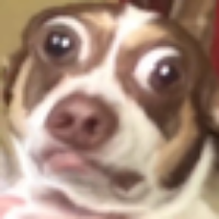 Voice Icon