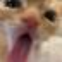 Voice Icon
