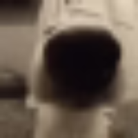 Voice Icon