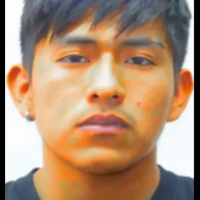 Voice Icon