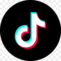 Voice Icon
