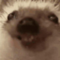 Voice Icon