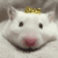 Voice Icon