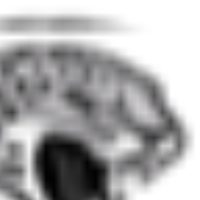 Voice Icon