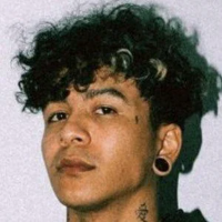 Voice Icon