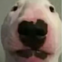 Voice Icon