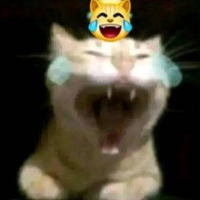 Voice Icon