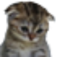 Voice Icon