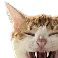 Voice Icon