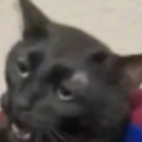 Voice Icon