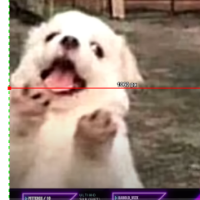 Voice Icon