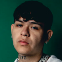 Voice Icon