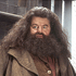 Hagrid