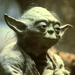 Yoda